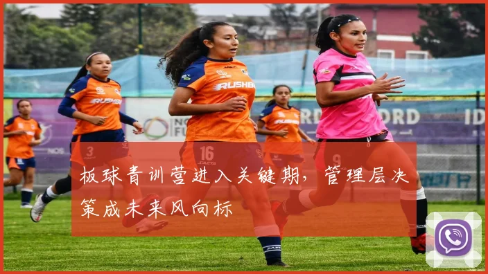 板球青训营进入关键期，管理层决策成未来风向标
