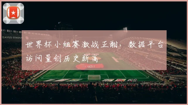 世界杯小组赛激战正酣，数据平台访问量创历史新高